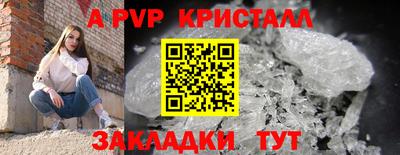 спиды Кандалакша
