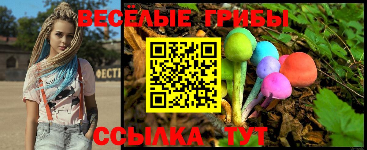 Псилоцибиновые грибы MAGIC MUSHROOMS Елизово