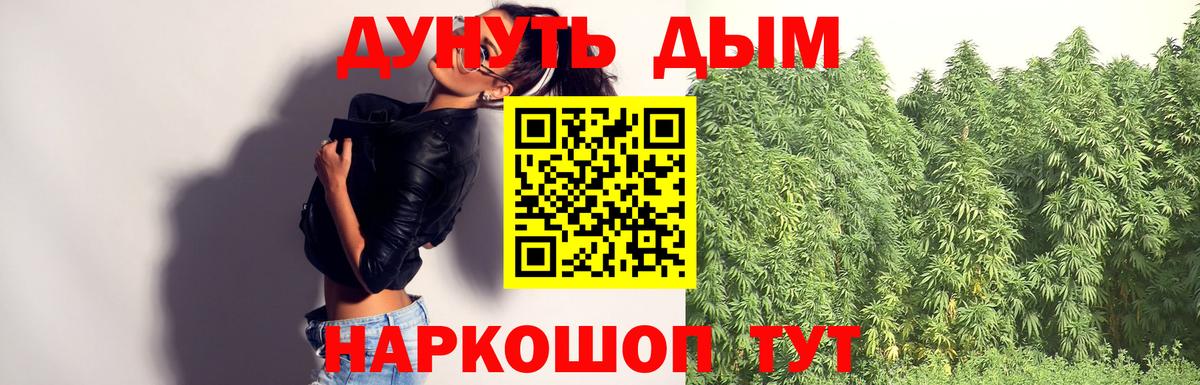 Конопля сатива Елизово